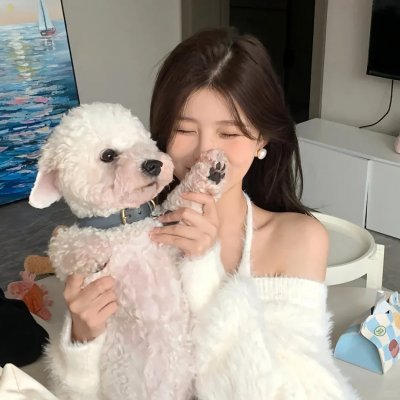 风流一代